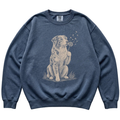Denim Comfort Colors® sweatshirt featuring Dandelion Australian Shepherd, laid-flat presentation