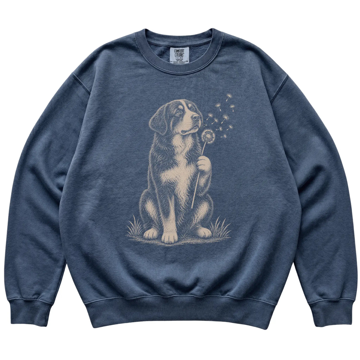 Denim Comfort Colors® sweatshirt featuring Dandelion Bernese Mountain Dog, laid-flat presentation