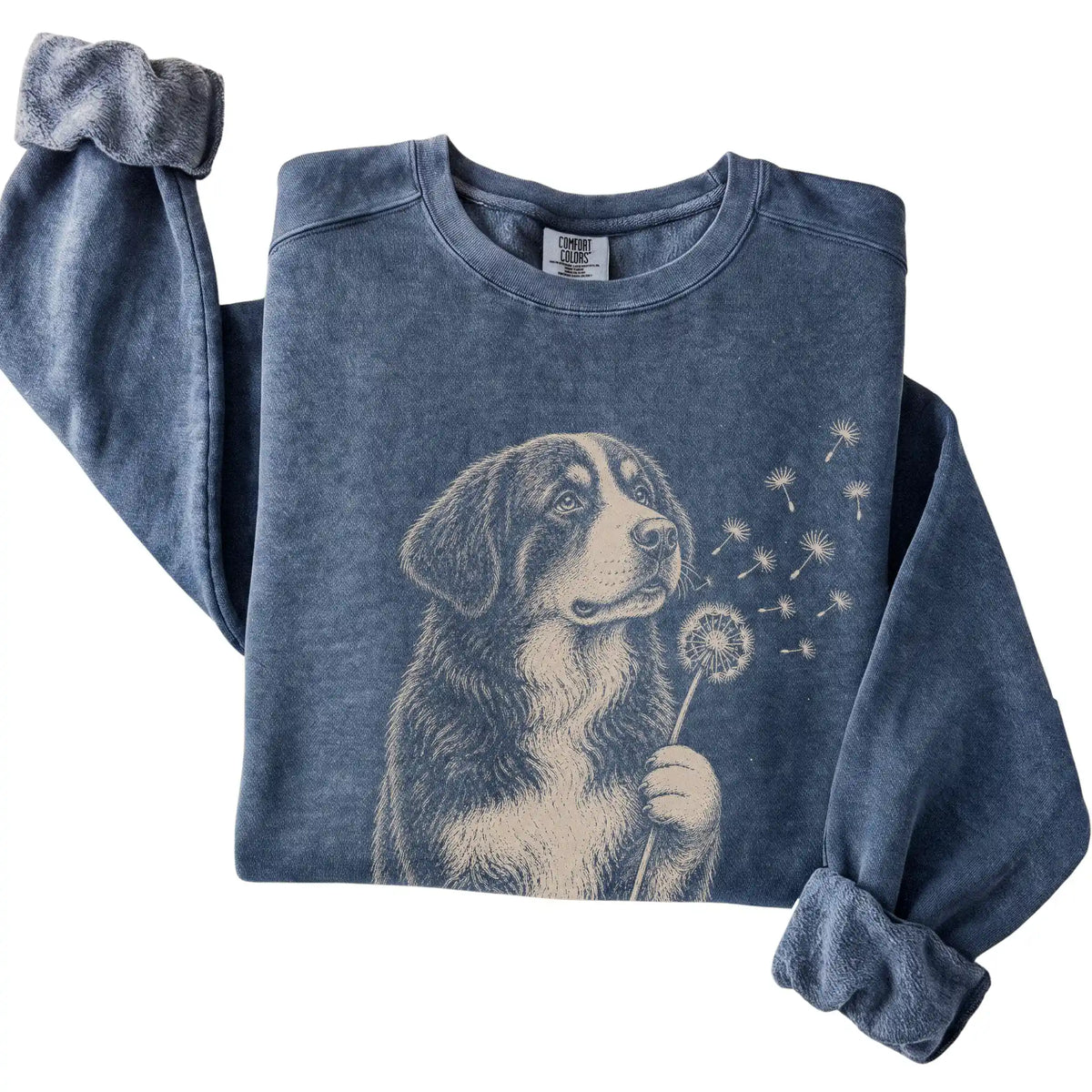 Denim Comfort Colors® sweatshirt featuring Dandelion Bernese Mountain Dog, folded presentation