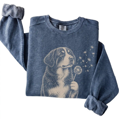 Denim Comfort Colors® sweatshirt featuring Dandelion Bernese Mountain Dog, folded presentation