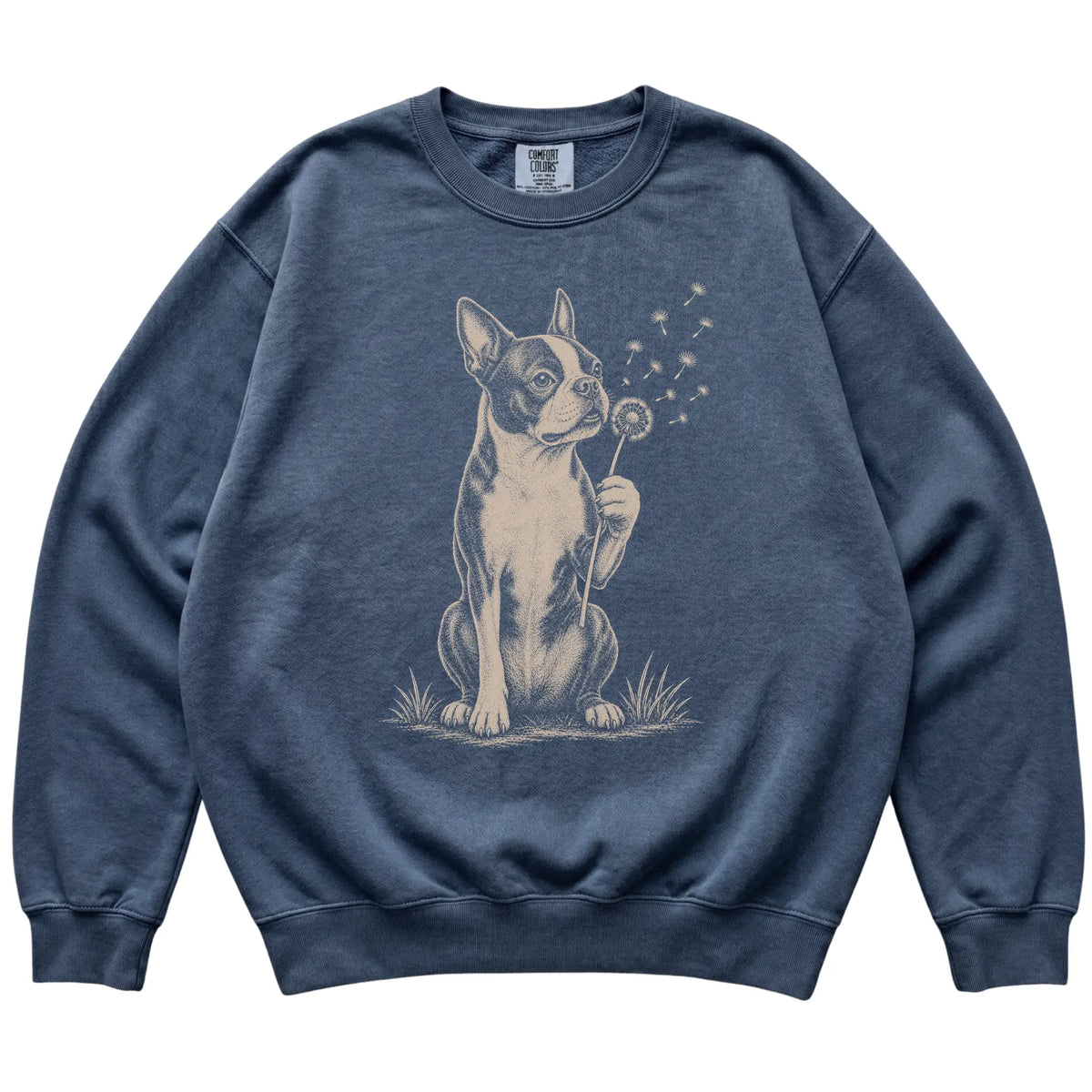 Denim Comfort Colors® sweatshirt featuring Dandelion Boston Terrier, laid-flat presentation