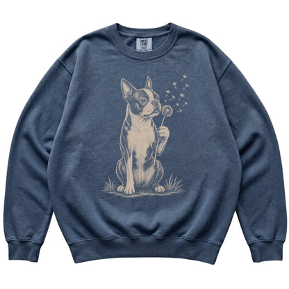 Denim Comfort Colors® sweatshirt featuring Dandelion Boston Terrier, laid-flat presentation