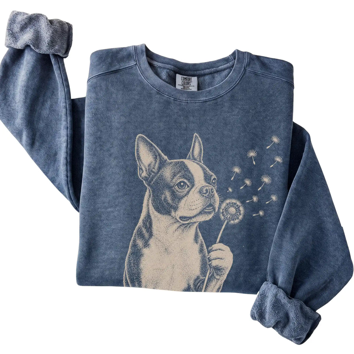 Denim Comfort Colors® sweatshirt featuring Dandelion Boston Terrier, folded presentation