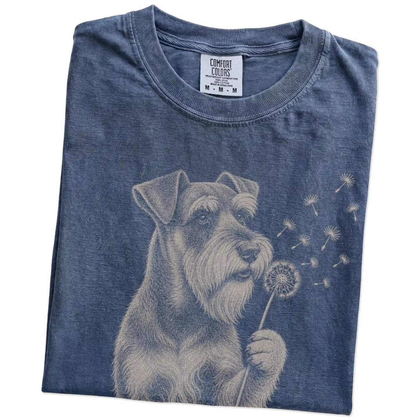 Folded Denim Comfort Colors® T-shirt showing Standard Schnauzer portrait with drifting dandelion seeds
