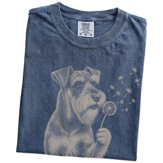 Folded Denim Comfort Colors® T-shirt showing Standard Schnauzer portrait with drifting dandelion seeds