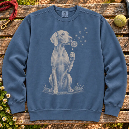 Weimaraner Dandelion on a Denim crewneck sweatshirt, shown flat