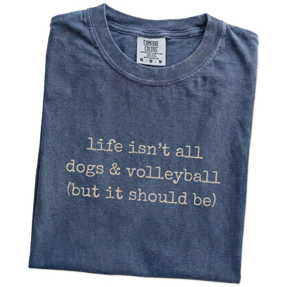 Folded Denim Comfort Colors® T-shirt showing dog-themed volleyball graphic