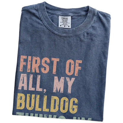 Folded Denim Comfort Colors® T-shirt showing “My Bulldog thinks I’m delightful” text
