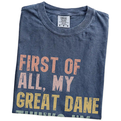Folded Denim Comfort Colors® T-shirt showing “My Great Dane thinks I’m delightful” text