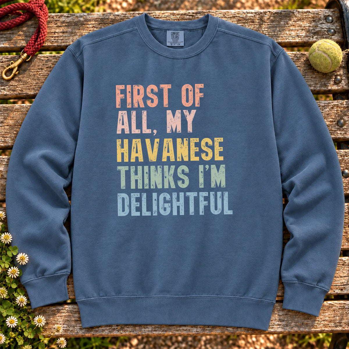 “First of all, my Havanese thinks I’m delightful” text on a Denim sweatshirt