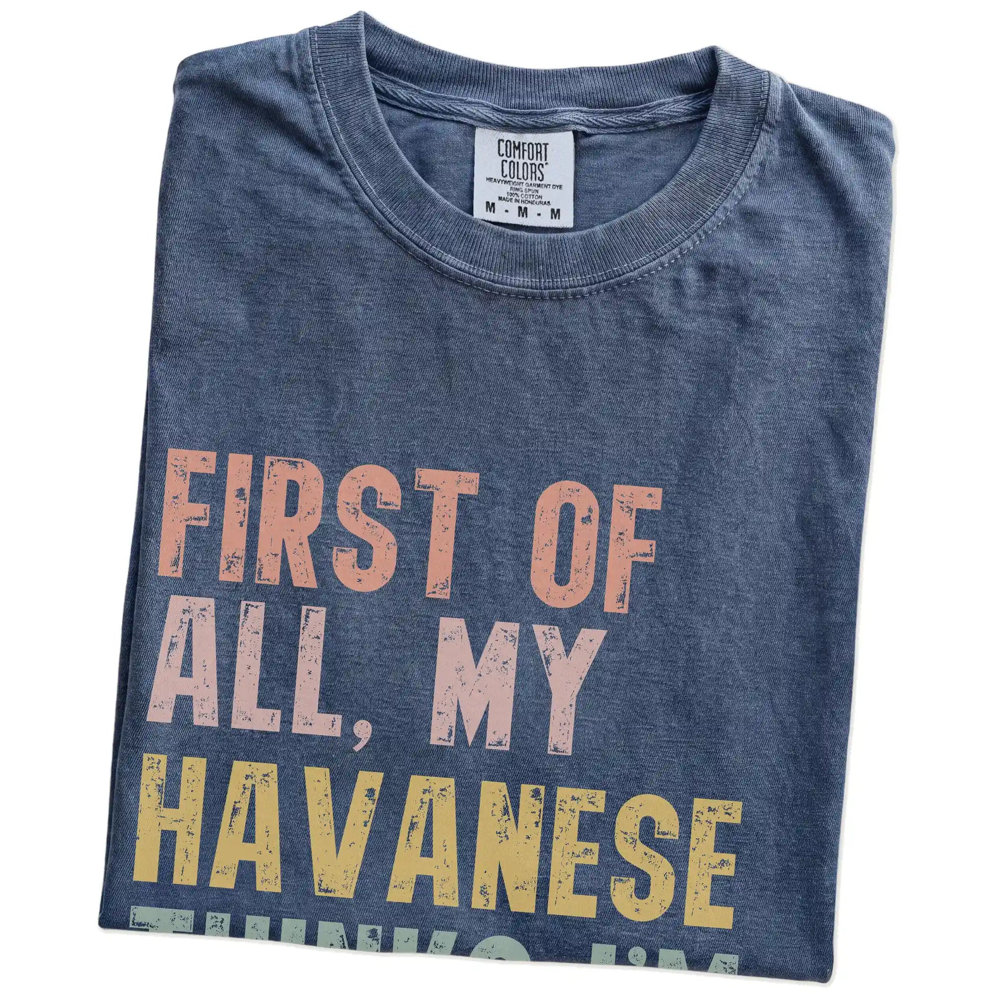 Folded Denim Comfort Colors® T-shirt showing “My Havanese thinks I’m delightful” text