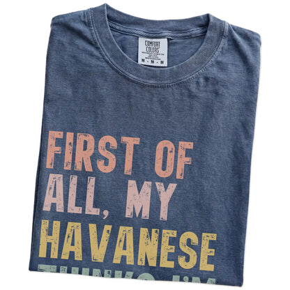 Folded Denim Comfort Colors® T-shirt showing “My Havanese thinks I’m delightful” text