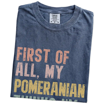 Folded Denim Comfort Colors® T-shirt showing “My Pomeranian thinks I’m delightful” text