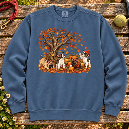 Four French Bulldog puppies with pumpkins beneath an autumn tree on a Denim garment-dyed sweatshirt