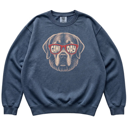 Denim Golden Retriever Game Day Sunglasses sweatshirt, laid flat