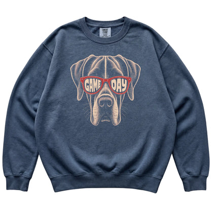 Denim Great Dane Game Day Sunglasses sweatshirt, laid flat