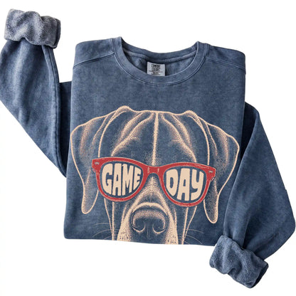 Denim Great Dane Game Day Sunglasses sweatshirt, folded