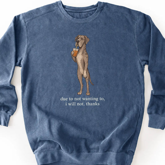 Great Dane I Will Not design with iced coffee on a denim sweatshirt