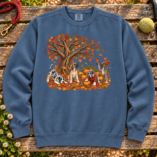 Four Great Dane puppies with pumpkins beneath an autumn tree on a Denim garment-dyed sweatshirt