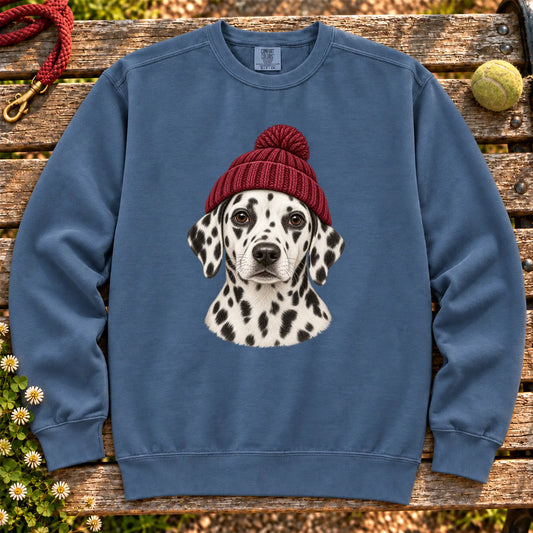 Denim Dalmatian hipster sweatshirt with a dog portrait in a chunky maroon beanie