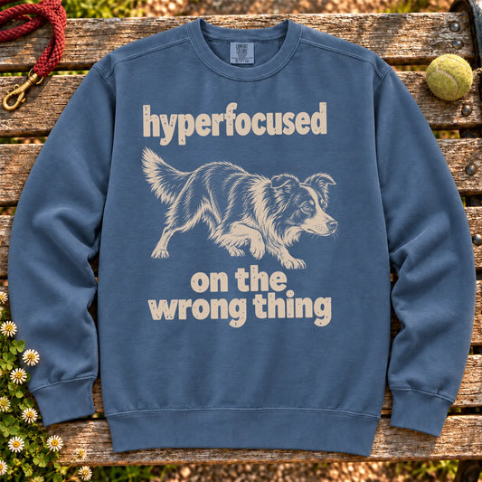 Denim sweatshirt with Border Collie “hyperfocused on the wrong thing” design