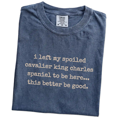 Folded Denim Comfort Colors® T-shirt showing the “I Left My Spoiled Cavalier King Charles Spaniel Home” saying