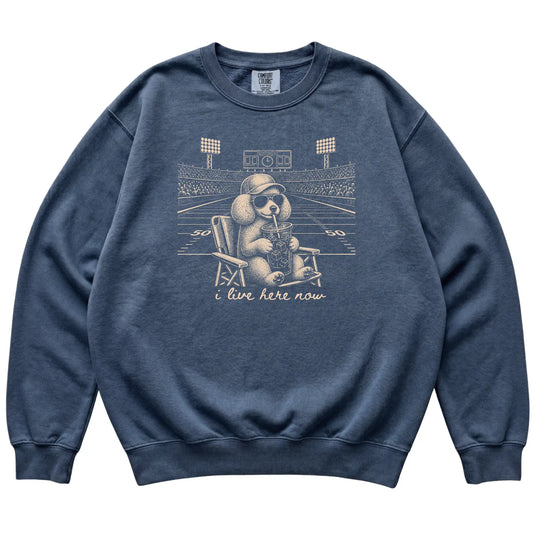 Denim I live here now Poodle sweatshirt, laid flat