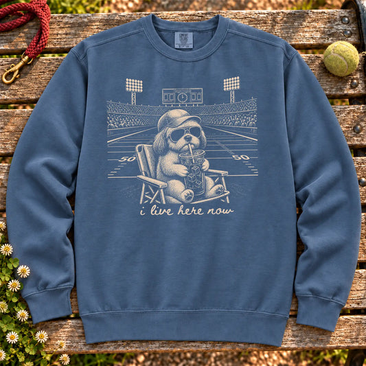 Shih Tzu I live here now on a Denim crewneck sweatshirt, shown flat
