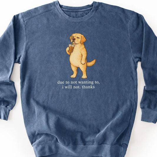 Labrador Retriever I Will Not design with iced coffee on a denim sweatshirt