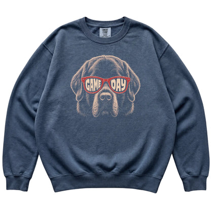 Denim Newfie Game Day Sunglasses sweatshirt, laid flat