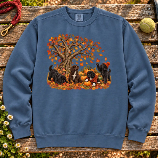 Four Newfie puppies with pumpkins beneath an autumn tree on a Denim garment-dyed sweatshirt