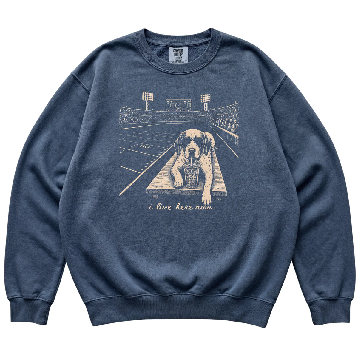 Denim Pointer Football Tailgate sweatshirt, laid flat