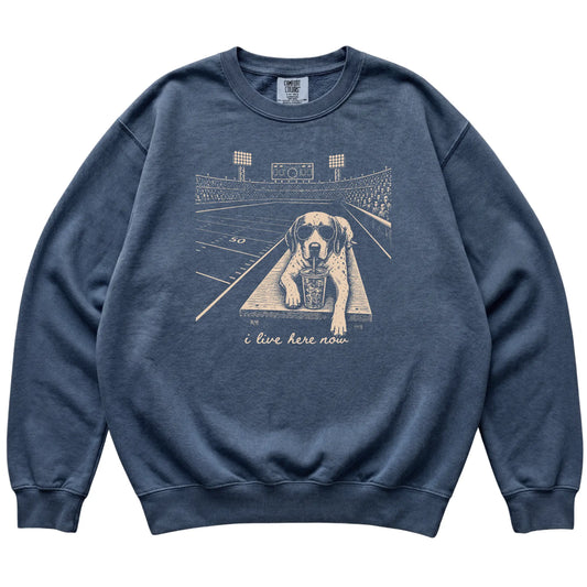 Denim Pointer Football Tailgate sweatshirt, laid flat