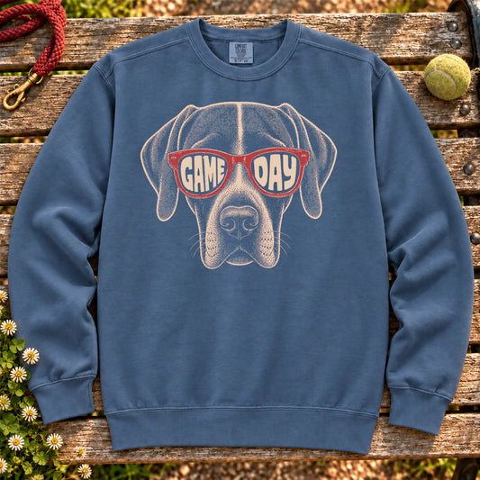Pointer Game Day Sunglasses on a Denim crewneck sweatshirt, shown flat