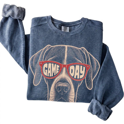 Denim Pointer Game Day Sunglasses sweatshirt, folded