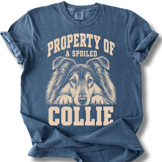 Denim Collie T-shirt with a dog portrait and “Property of a Spoiled” lettering.