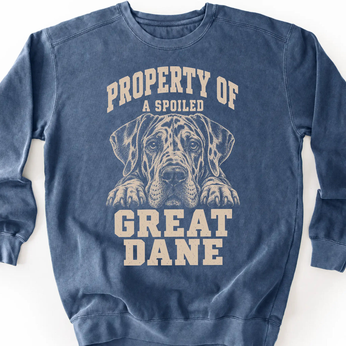 Denim Great Dane sweatshirt with a dog portrait and “Property of a Spoiled” lettering.