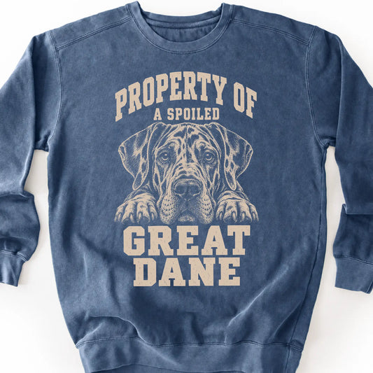 Denim Great Dane sweatshirt with a dog portrait and “Property of a Spoiled” lettering.