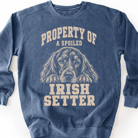 Denim Irish Setter sweatshirt with a dog portrait and “Property of a Spoiled” lettering.