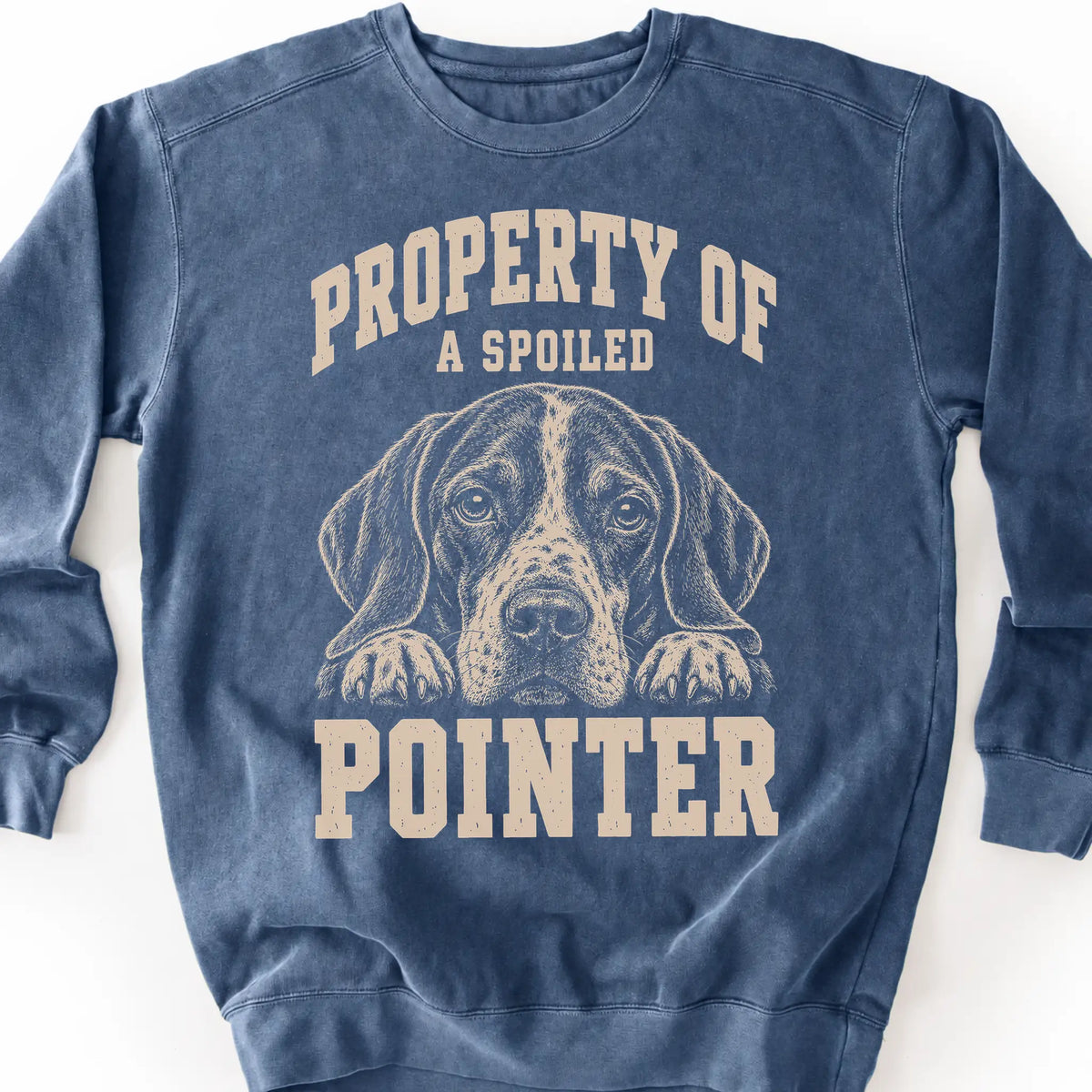 Denim Pointer sweatshirt with a dog portrait and “Property of a Spoiled” lettering.