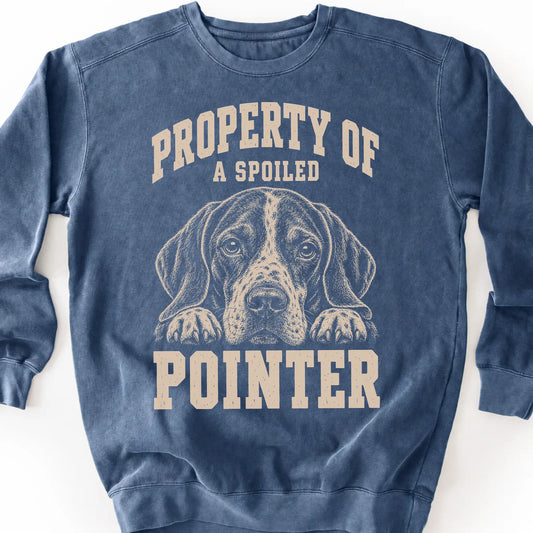 Denim Pointer sweatshirt with a dog portrait and “Property of a Spoiled” lettering.