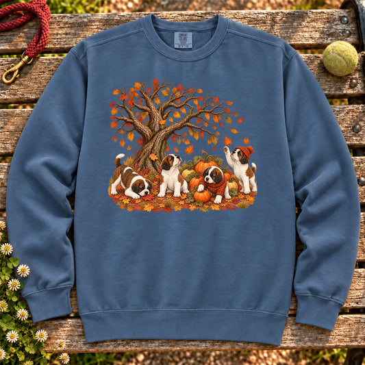 Saint Bernard puppies in an autumn pumpkin patch on a Denim garment-dyed sweatshirt