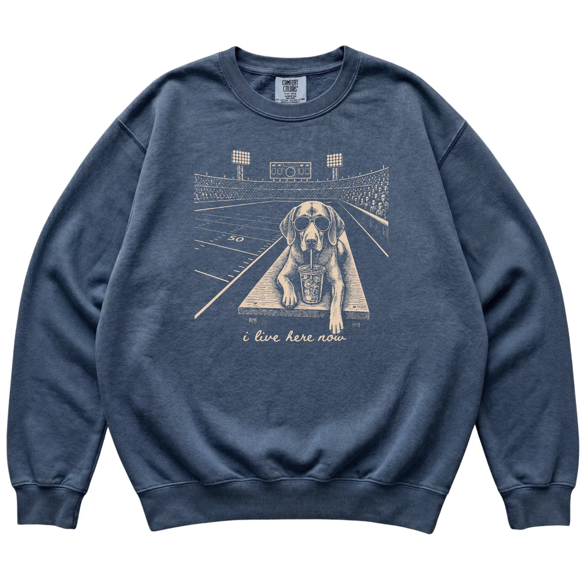 Denim Vizsla Football Tailgate sweatshirt, laid flat