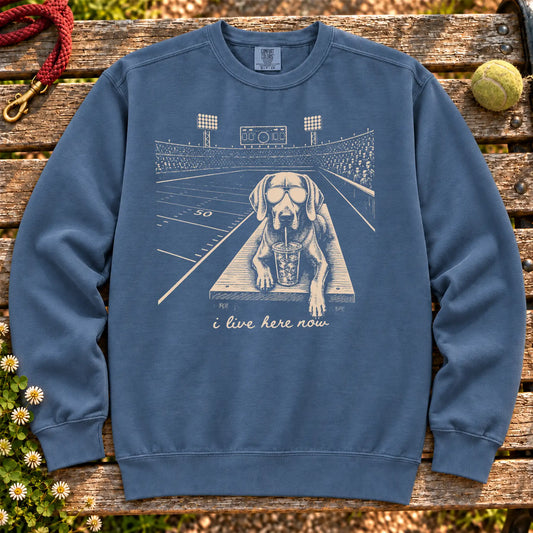 Weimaraner Football Tailgate on a Denim crewneck sweatshirt, shown flat