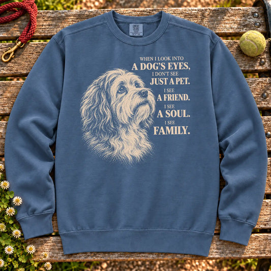 Denim Comfort Colors® sweatshirt featuring the Havanese More Than a Pet design.