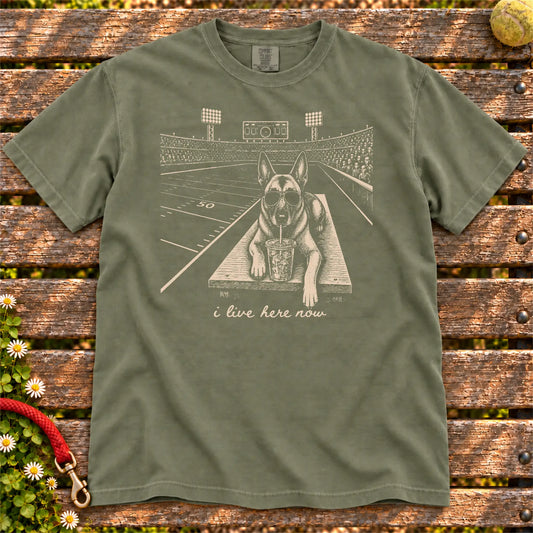 Belgian Malinois Iced Coffee Football design on a Moss Comfort Colors T-shirt, shown flat
