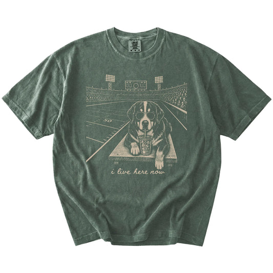 Bernese Mountain Dog ready for football and tailgate season on a Moss Comfort Colors® T-shirt