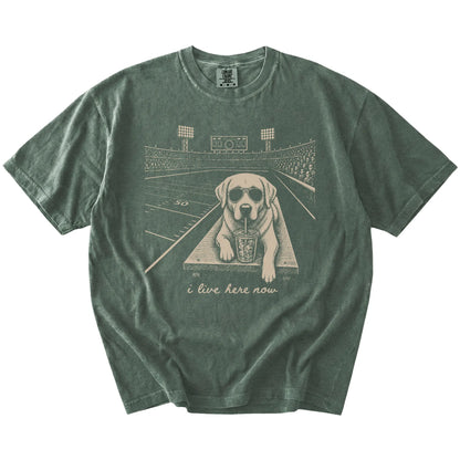 Labrador Retriever ready for football and tailgate season on a Moss Comfort Colors® T-shirt