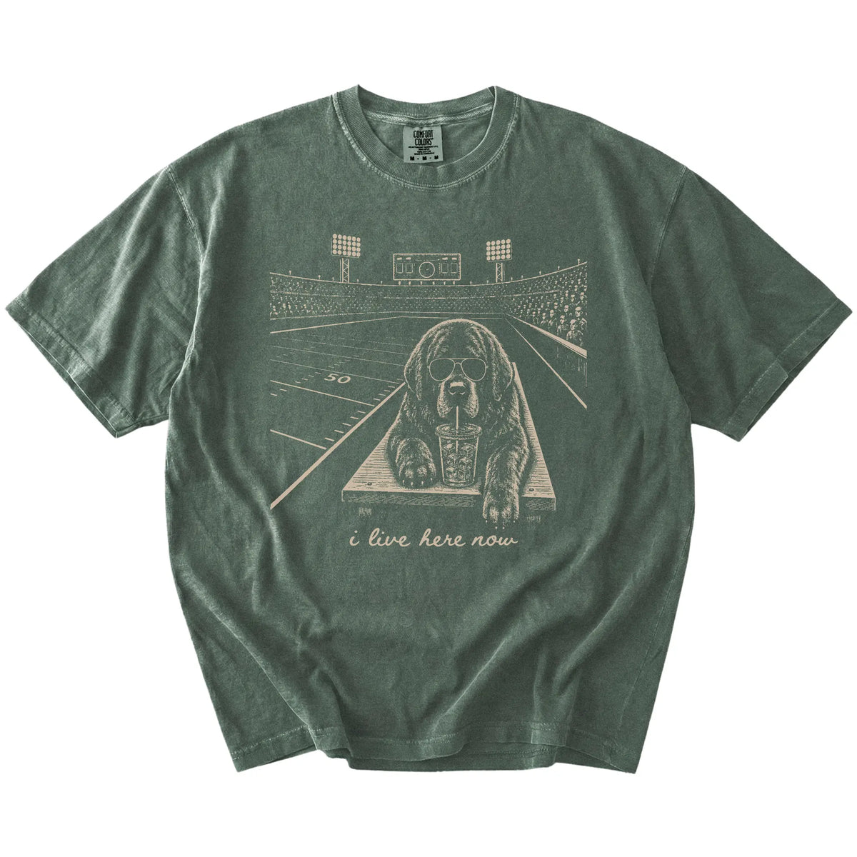 Newfie ready for football and tailgate season on a Moss Comfort Colors® T-shirt