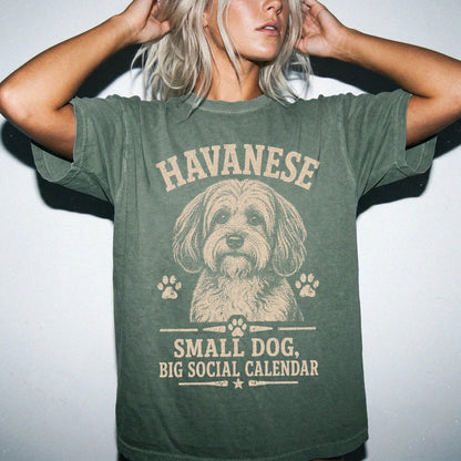 Model wearing a Moss Comfort Colors® T-shirt featuring Havanese design with “Small Dog, Big Social Calendar” lettering
